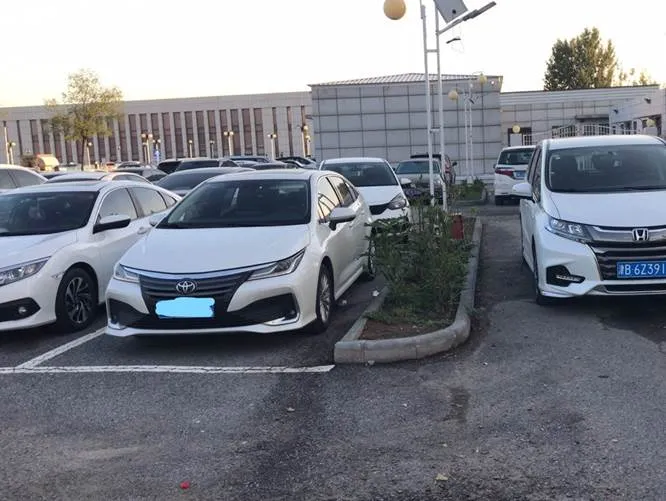 天津小游 这个国庆节在天津玩四天