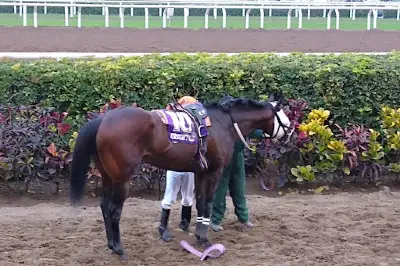 Monterrico Racecourse