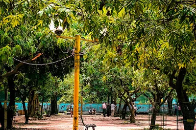 City Park