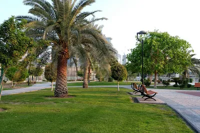 West bay garden
