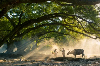 Off-the-Beaten-Path Destination: Ningde, Fujian – Discover Stunning Beauty