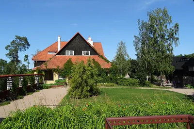 Hvittrask