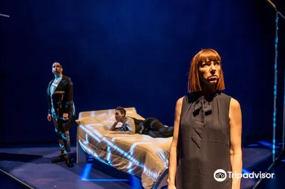 Great Canadian Theatre Company