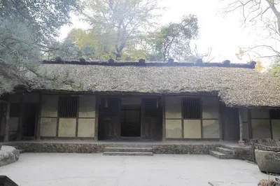 四川行，我懷念的是你的煙火氣~