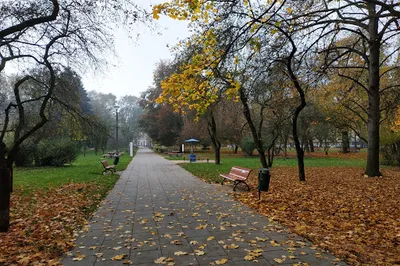 Park Ratuszowy w Krakowie