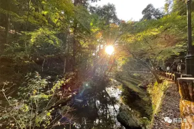 【賞紅葉】大阪・箕面