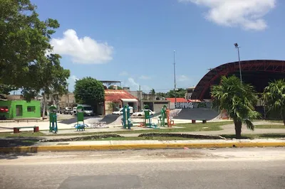 Reg. 101 Skate Park