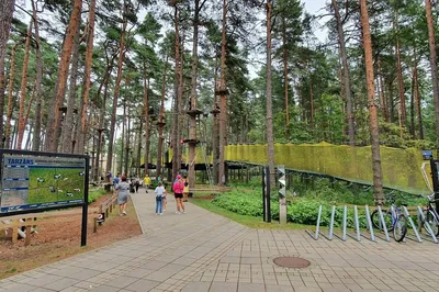 Dzintari Forest Park