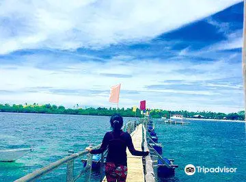 San Vicente Marine Sanctuary