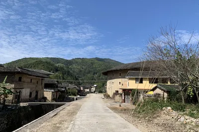 遊八閩 品香茗