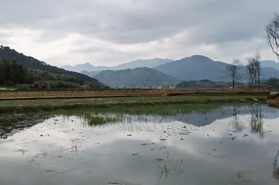 Spring in Three Prefectures under Misty Rain on the River (Part 2): Jinshan Temple and Chaji Ancient Town