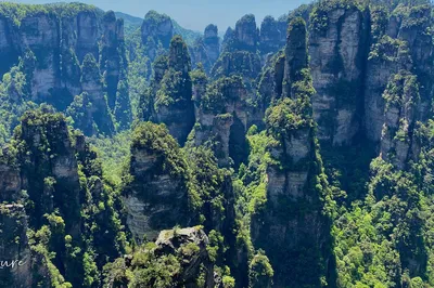 Golden Week May Day - A Happy Foodie's Travelogue to Zhangjiajie and Changsha
