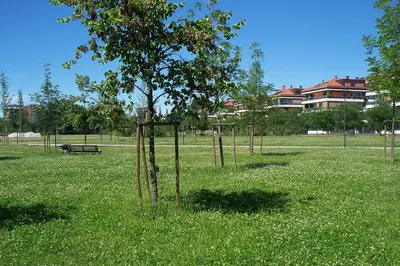 Parco Segantini