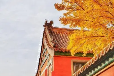 11月，我建議你一定要去一次北京！
