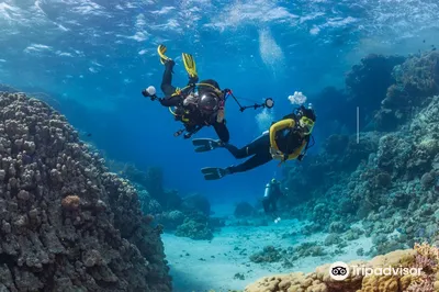 Global Scuba
