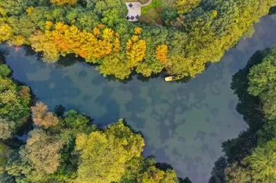 Winter in Hangzhou: A Guide to Exploring the Three Lakes and Enjoying Dining & Stays at an IHG Hotel