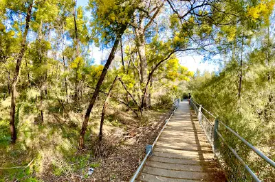 Cotter Dam Lookout