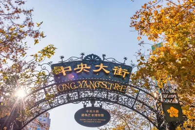 Harbin's Winter: A Romance