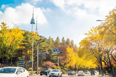 My 5-Day South Korea Independent Travel Guide——Travel and Shopping in South Korea