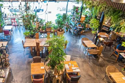 【Chill out 新加坡】第1期：8家森林系Cafe