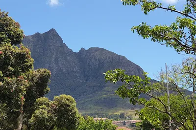 Rondebosch Park