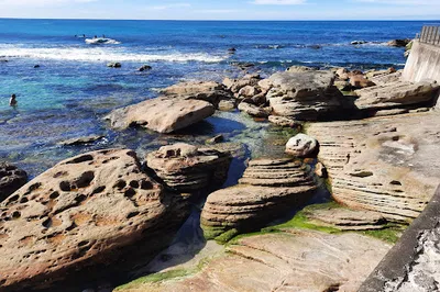 Bronte Park