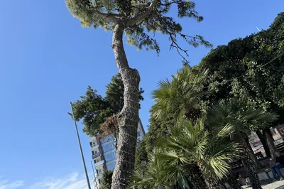 土耳其的奇幻之旅