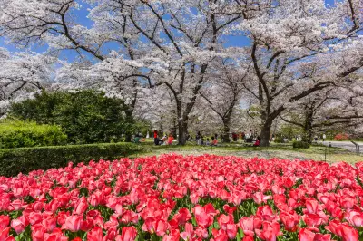 Kyoto Botanical Gardens