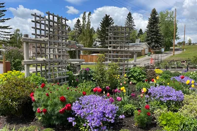 Botanical Gardens of Silver Springs