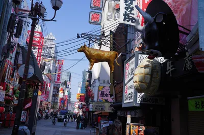 Cherry Blossom Season: Eight-Day Tour of Osaka, Kyoto, and Nara