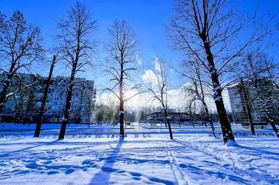 Polyustrovsky Park