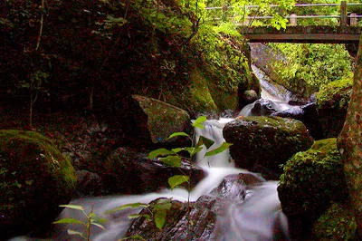 बिण्णुद्वार तल्लाे झरना Bishnudwar Lower Waterfall