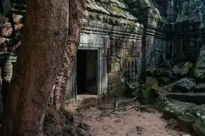 Ta Nei Temple