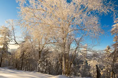 中国雪谷雾凇岭景区
