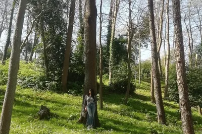 Beykoz Korusu