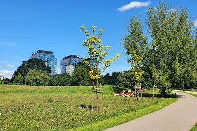 Five Sisters Park