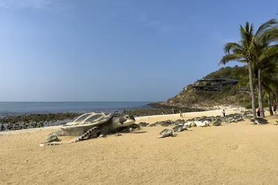 西島烏龜灘