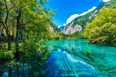 夏末初秋到童話九寨，享山谷度假美好時光