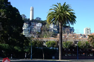 Pioneer Park