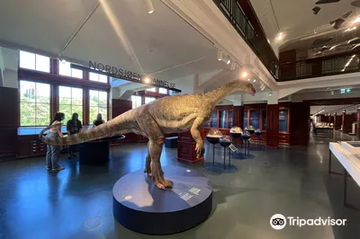 Natural History Museum