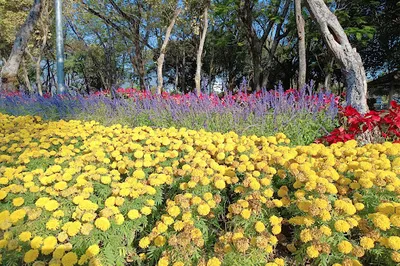 Princess Mothers Health Garden