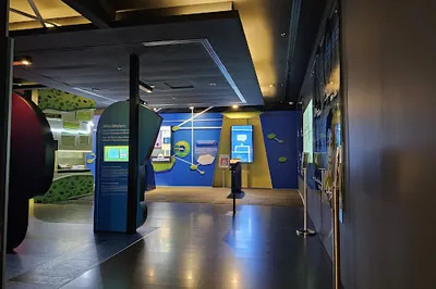 Sasana Kijang, Bank Negara Malaysia