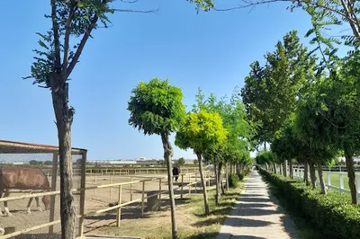 Omar Atçılıq Mərkəzi