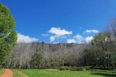 Constantia Greenbelt and Forest