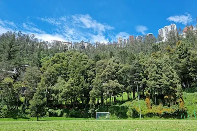 Parque Guápulo