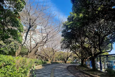 Samda Park