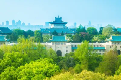 武漢大學春韻流芳，春景如畫
