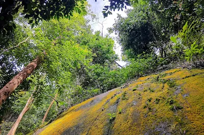 Ketumbar Hill