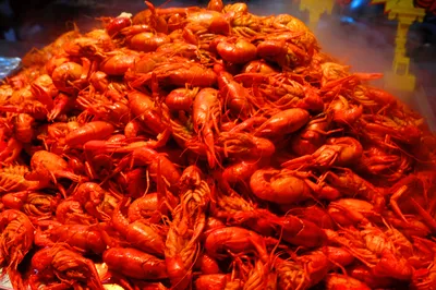"Crime Crackdown" Is a Hit: The City Where Sun Honglei Was Wronged Is Also a Foodie Internet Celebrity Hotspot in Hunan