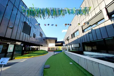 MOM Swimming Pool and Sports Center